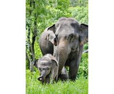 Scenolia Tableau Impression sur Toile ÃLÃPHANTS 60 x 90 cm | Fabrication 100% en France Haute qualité