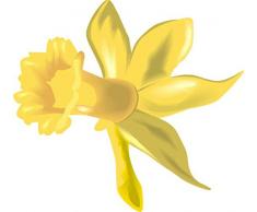 Indigos 4051719962437 Sticker Mural, Bunt, 60 x 55 cm