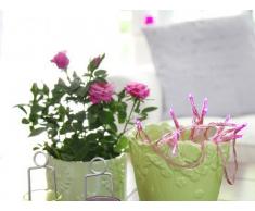 Star Mini guirlande à  piles équipée de 15 LEDs rose