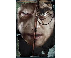 GB Eye, Voldermort and Harry, Harry Potter, Maxi Poster, 61x91.5cm