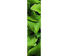 Scenolia Lé unique papier peint déco CASCADE VEGETALE 60 x 240 cm | Déco murale Qualité