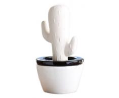 Wenko 52594100 Humidificateur Conique Cactus