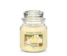 Yankee Candle bougie jarre parfumée | moyenne taille | Limonade aux herbes | jusqu’à 75 heures de combustion | La Collection Garden Hideaway