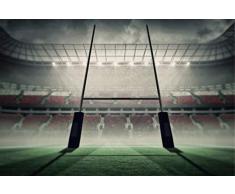 Scenolia Tableau dÃ©coratif Grand Format sur Toile Stade DE Rugby 90 x 60 cm | Impression Haute qualitÃ©