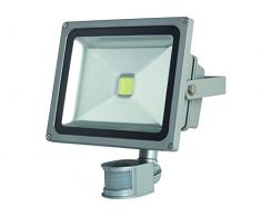 Perel LEDA3003CW-GP Projecteur LED dExtÃ©rieur Puce Epistar, Aluminium, 30 W, Multicolore