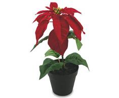 Villa dEste Home Tivoli 2413982 Set 6 Ãtoile Noël Rouge Vase en PVC, Rouge, Taille Unique