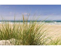 Tapisserie poster panoramique OYAT DES SABLES 4 x 2,70 m | Déco et photo murale XXL Qualité HD Scenolia