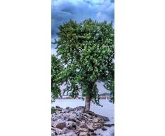 PeelitStickit id-1440Â 60Â Largeur x 130Â cm Hauteurâ¯: Belle Nature de Haute qualitÃ© en Vinyle Papier Peint Mural