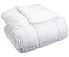 AmazonBasics Couette dhiver en microfibre 2 couches 140Â xÂ 200Â cm