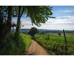 Tapisserie poster panoramique SENTIER 4 x 2,70 m | Déco et photo murale XXL Qualité HD Scenolia