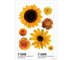 AG Design f 0408 Mur autkleber Stickers Fleurs