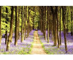 1art1 ForÃªts Poster - Sentier De Lavande dans La ForÃªt (91 x 61 cm)