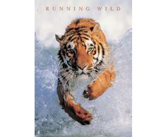 Empire Poster â Chat prédateur â Tiger, Running Wild Version 2 â Taille (cm) env. 40 x 50 - Mini Poster