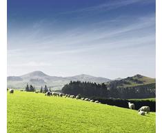 Papier Peint poster panoramique VALLÃE VERTE 4 x 2,70 m | DÃ©co et photo murale XXL QualitÃ© HD Scenolia