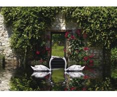 AG Design Odeur fTNm2611 Papier Peint Photo Murale Cygnus