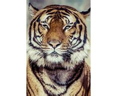 Scenolia Tableau Impression sur Toile Tigre 60 x 90 cm | Fabrication 100% en France Haute qualitÃ©