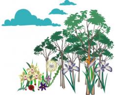 INDIGOS 4051719805864 Sticker Mural, Multicolore