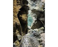 Scenolia Tableau Verre Acrylique REGINO 60 x 90 cm | DÃ©coration Murale Design Fait en France