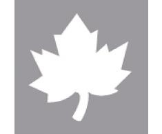 Rayher 89844000 perforatrice ahornblatt diamÃ¨tre : 3 81 cm raccord blister 1 piÃ¨ce