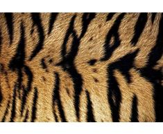 Papier Peint poster panoramique TIGRE DU BENGALE 4 x 2,70 m | DÃ©co et photo murale XXL QualitÃ© HD Scenolia