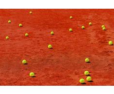 Tapisserie déco poster TERRE BATTUE 3 x 2,70 m | Déco et photo murale XXL Qualité HD Scenolia