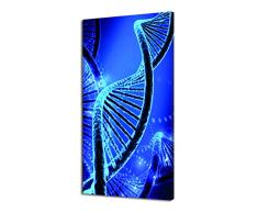 Pintdecor ADN Panneau Lumineux, Bois de Sapin, Bleu, 80Â x 40Â x 4.5Â cm