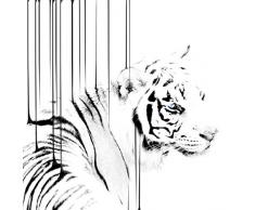 Scenolia Tableau Verre Acrylique Pluie dencre 60 x 60 cm | DÃ©coration Murale Design Fait en France