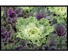 Digital Republic.com 40726 Paillasson Polyamide-PVC sans Phtalate