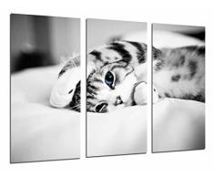 Tableau Moderne Photographique, Impression sur bois, Hipster animal chat yeux bleus, noirs et blancs, 97 x 62 cm, ref. 27022