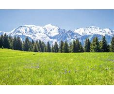 Scenolia Tableau dÃ©coratif Grand Format sur Toile Paysage Mont Blanc 90 x 60 cm | Impression Haute qualitÃ©