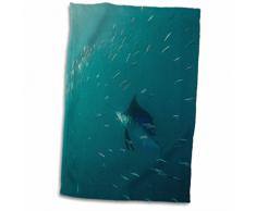 3dRose Sailfish biberon Sardine Run, Eastern Cape, Afrique du Sud Serviette, Blanc, 15Â x 55,9Â cm