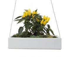 Chive CÃ©ramique Ragna Pot de Fleurs Ã SuspendreÂ âÂ Parent