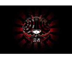 Papier Peint poster panoramique GEISHA 4 x 2,70 m | DÃ©co et photo murale XXL QualitÃ© HD Scenolia