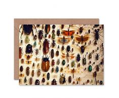 Wee Blue Coo Greetings Card Birthday Gift Nature Photo Taxidermy Varied Insect Cabinet