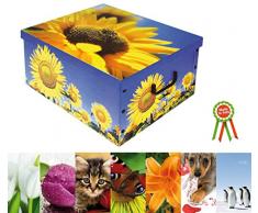 Coffre en carton 50 x 40 x 25 H couleur Assti