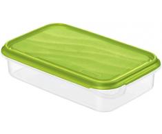 Rotho 1713705503 Boîte de conservation des aliments rectangulaire en plastique PP, sans BPA, de haute qualité, convient au lave-vaisselle et au congélateur, 1 l plat , transparent/vert