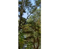 PeelitStickit id-1469Â 60Â Largeur x 130Â cm Hauteurâ¯: Belle Nature de Haute qualitÃ© en Vinyle Papier Peint Mural