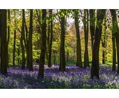 Scenolia Papier Peint Intissé Forêt Jacinthes dans le Sous Bois 4 x 2,70m - Décoration Murale Effet Trompe lâOeil - Revêtement Panoramique Tapisserie XXL - Pose Facile et Qualité HD