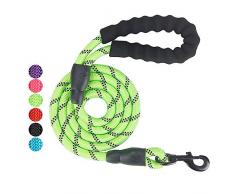 Vineco PoignÃ©e RembourrÃ©e Douce, Fils TrÃ¨s RÃ©flÃ©chissants, Sacs Ã DÃ©chets et Distributeur, 1,5 m Corde Laisse pour Tous Les Chiens de Taille, Vert