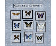 Scenolia Tableau Verre Acrylique ENTOMOLOGUE 60 x 60 cm | DÃ©coration Murale Design Fait en France