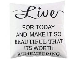 La Finesse - Housse de Coussin carrÃ©e dÃ©corative 50 x 50 cm pour la Maison en Coton pour Le Salon, Le canapÃ©, la Chambre Ã Coucher, Tissu colorÃ©, Taille Unique