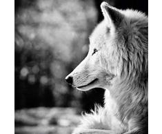 Scenolia Tableau Verre Acrylique Entre Chien ET Loup 60 x 60 cm | DÃ©coration Murale Design Fait en France