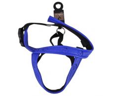 Viscio Trading Maison & Pet Harnais Chien, Bleu, 50Â x 2.5Â x 3Â cm