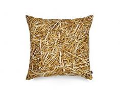 FOONKA Coussin en Coton avec Rembourrage 40 x 40 cm Beige/Marron