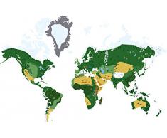 Sabre de bois sticker autocollant mural chambre enfant bébé mappemonde carte Multicolore 80 x 124 x 0,02 cm