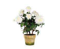 EUROCINSA Ref.11331C01 Plante à Dates Blanches, boîte de 1 unité, Plastique, Terre Cuite, 60 x 86 cm