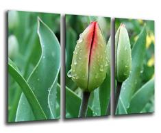 Tableau Moderne Photographique, Impression sur bois, Fleur, Nature, 97 x 62 cm, ref. 26136