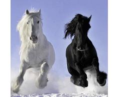 Scenolia Tableau dÃ©coration Murale Chevaux 90 x 90 cm | dÃ©co Design imprimÃ©e en France