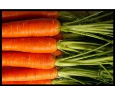 Digital Republic.com 40182 Paillasson Polyamide-PVC sans Phtalate