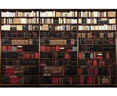 Tapisserie poster panoramique BIBLIOTHEQUE 4 x 2,70 m | DÃ©co et photo murale XXL QualitÃ© HD Scenolia